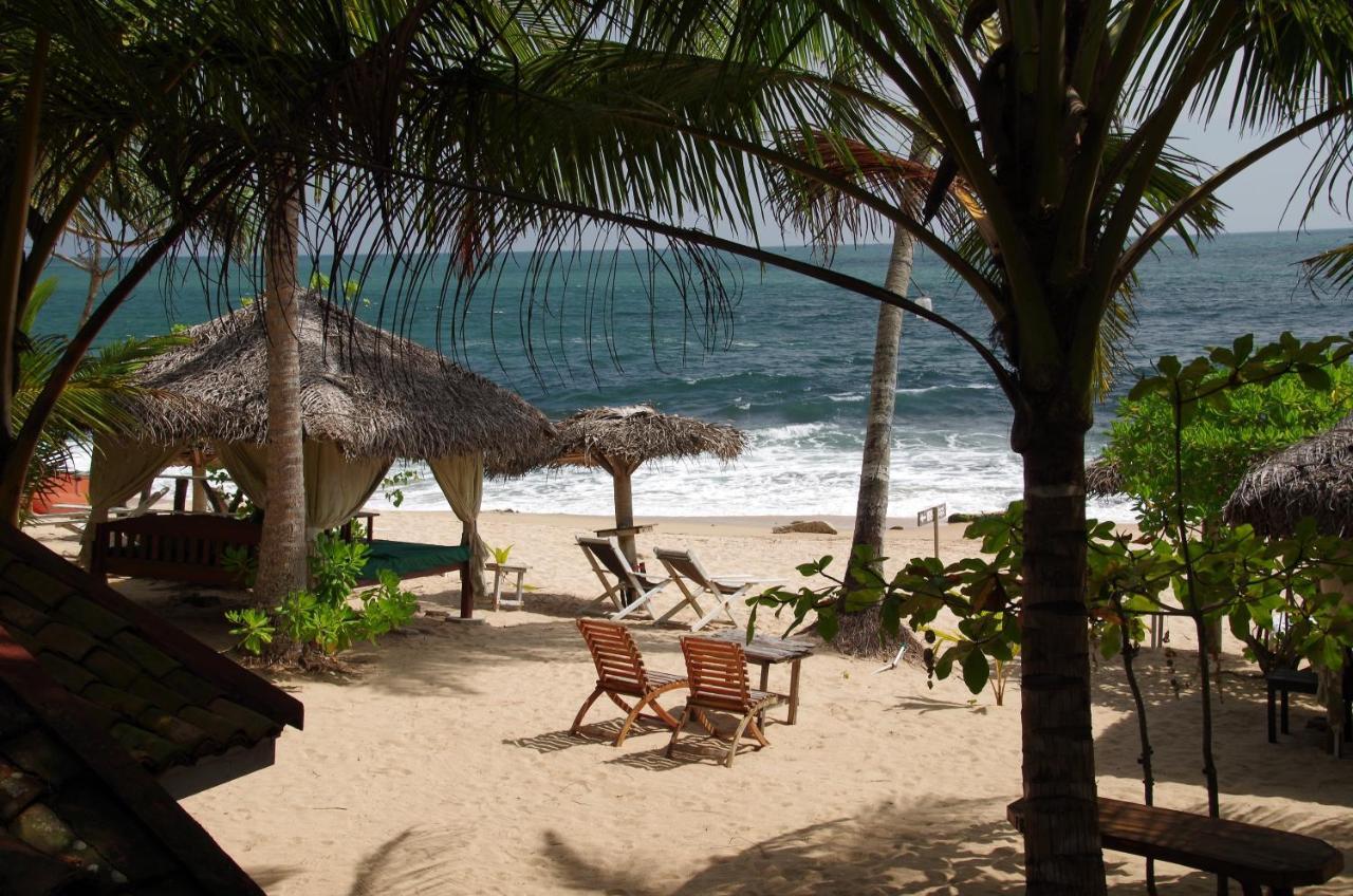 Ibisbird Beach Bungalows, Sport, Spa And Restaurant 탕갈레 외부 사진