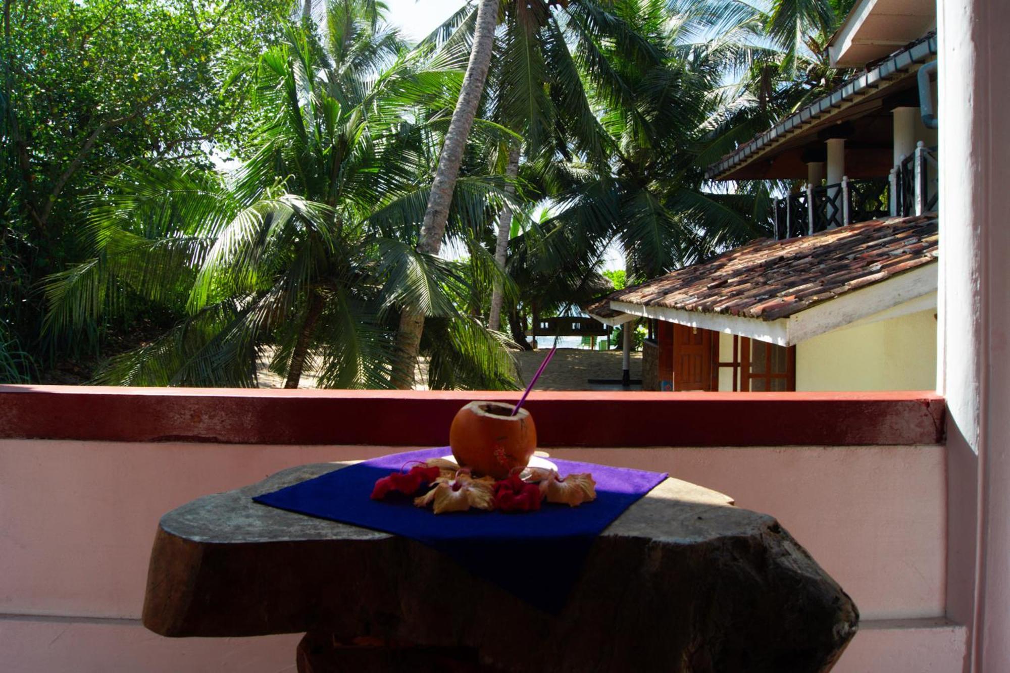 Ibisbird Beach Bungalows, Sport, Spa And Restaurant 탕갈레 외부 사진