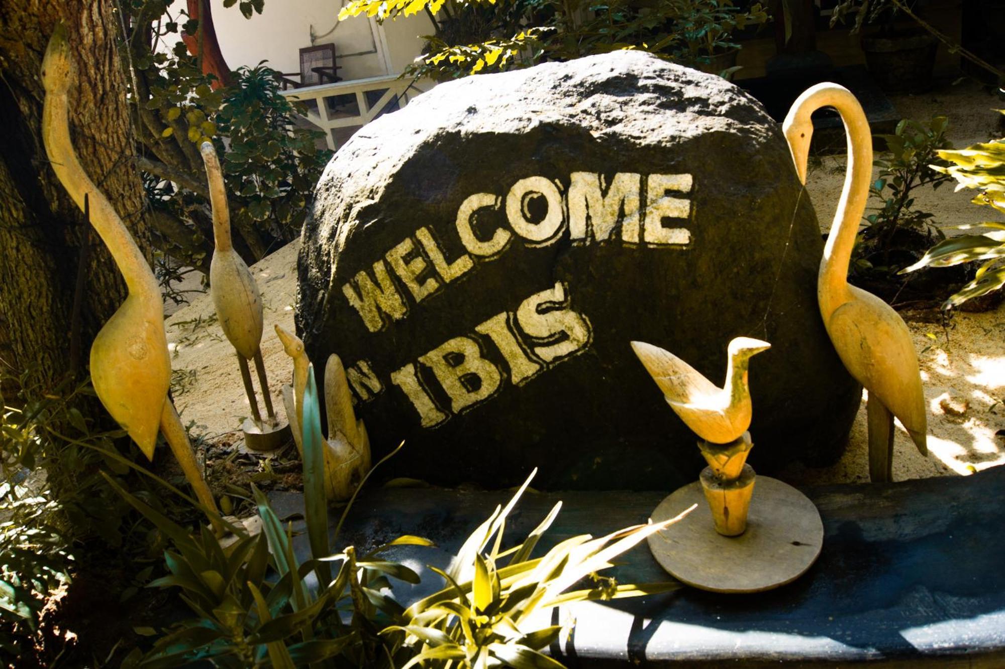 Ibisbird Beach Bungalows, Sport, Spa And Restaurant 탕갈레 외부 사진