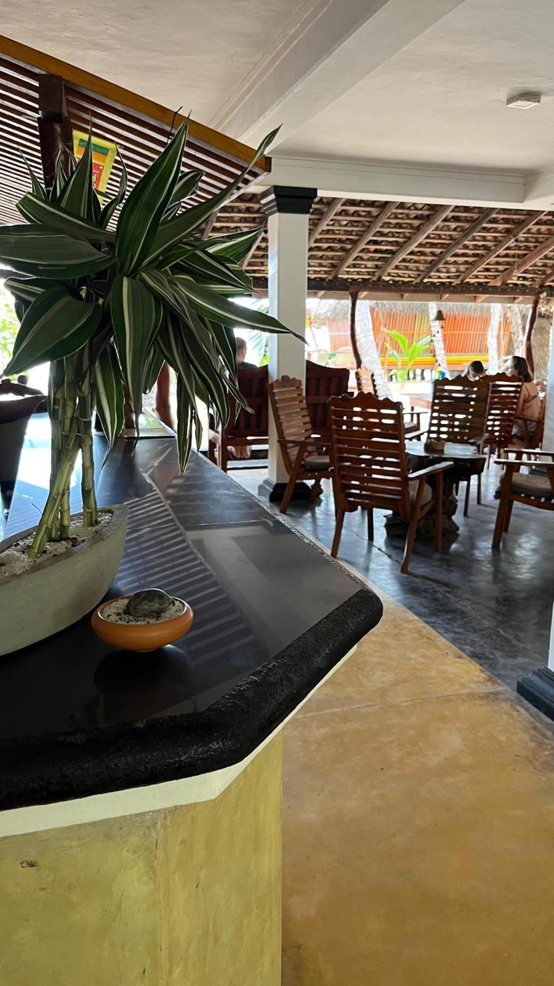 Ibisbird Beach Bungalows, Sport, Spa And Restaurant 탕갈레 외부 사진