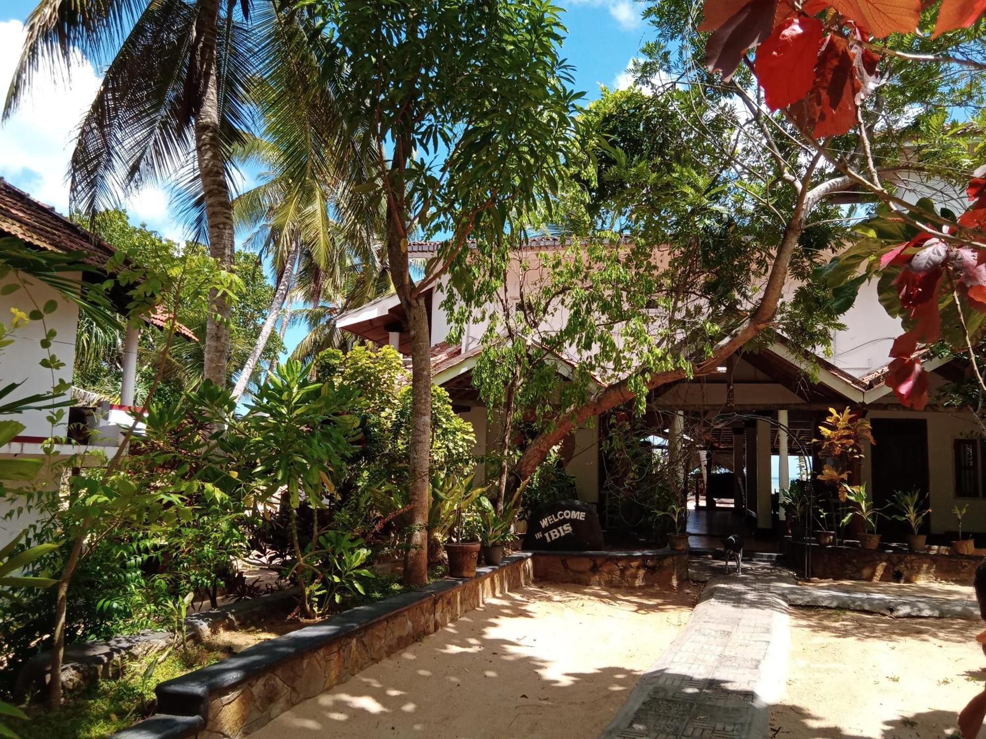 Ibisbird Beach Bungalows, Sport, Spa And Restaurant 탕갈레 외부 사진