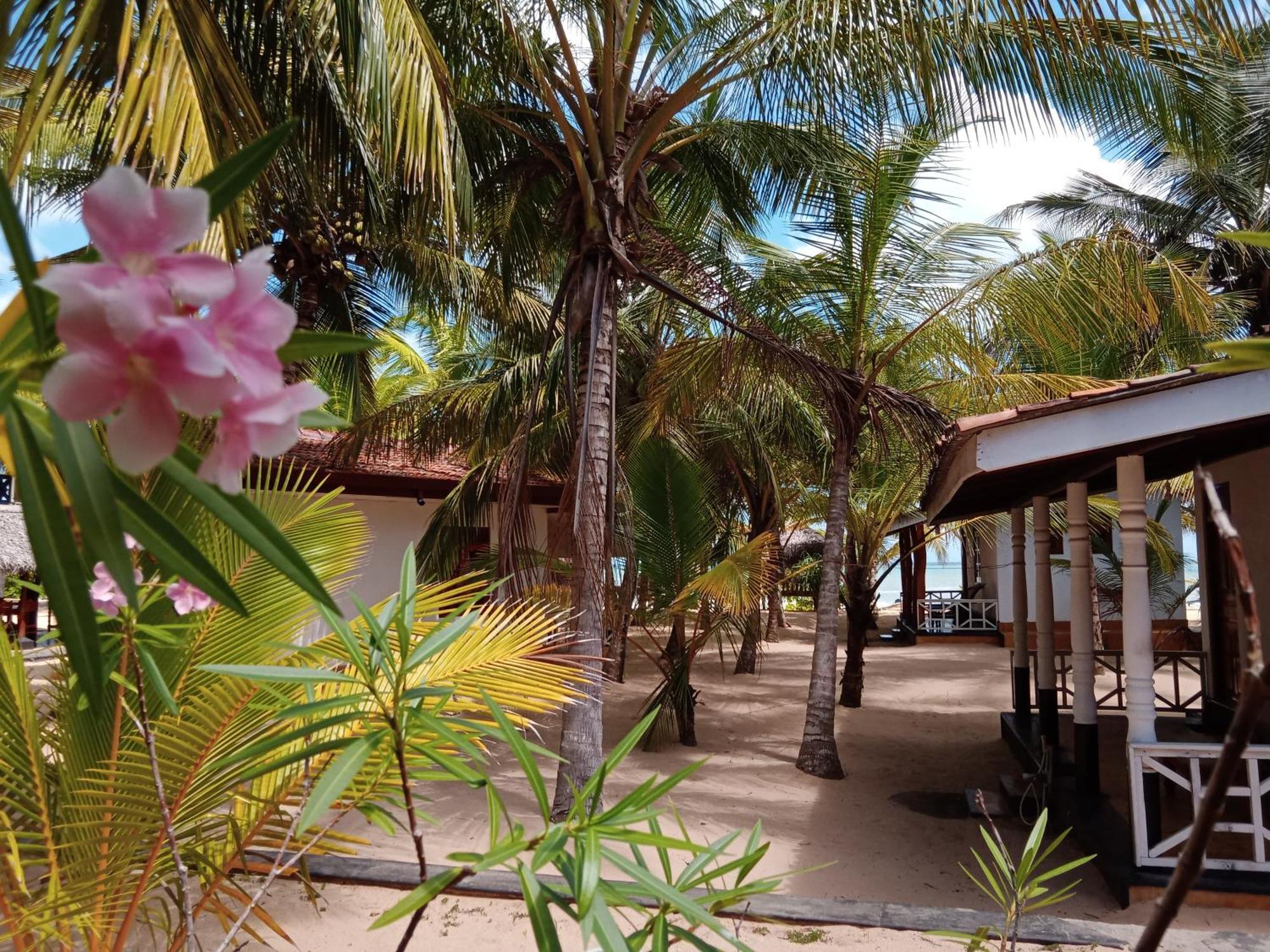 Ibisbird Beach Bungalows, Sport, Spa And Restaurant 탕갈레 외부 사진