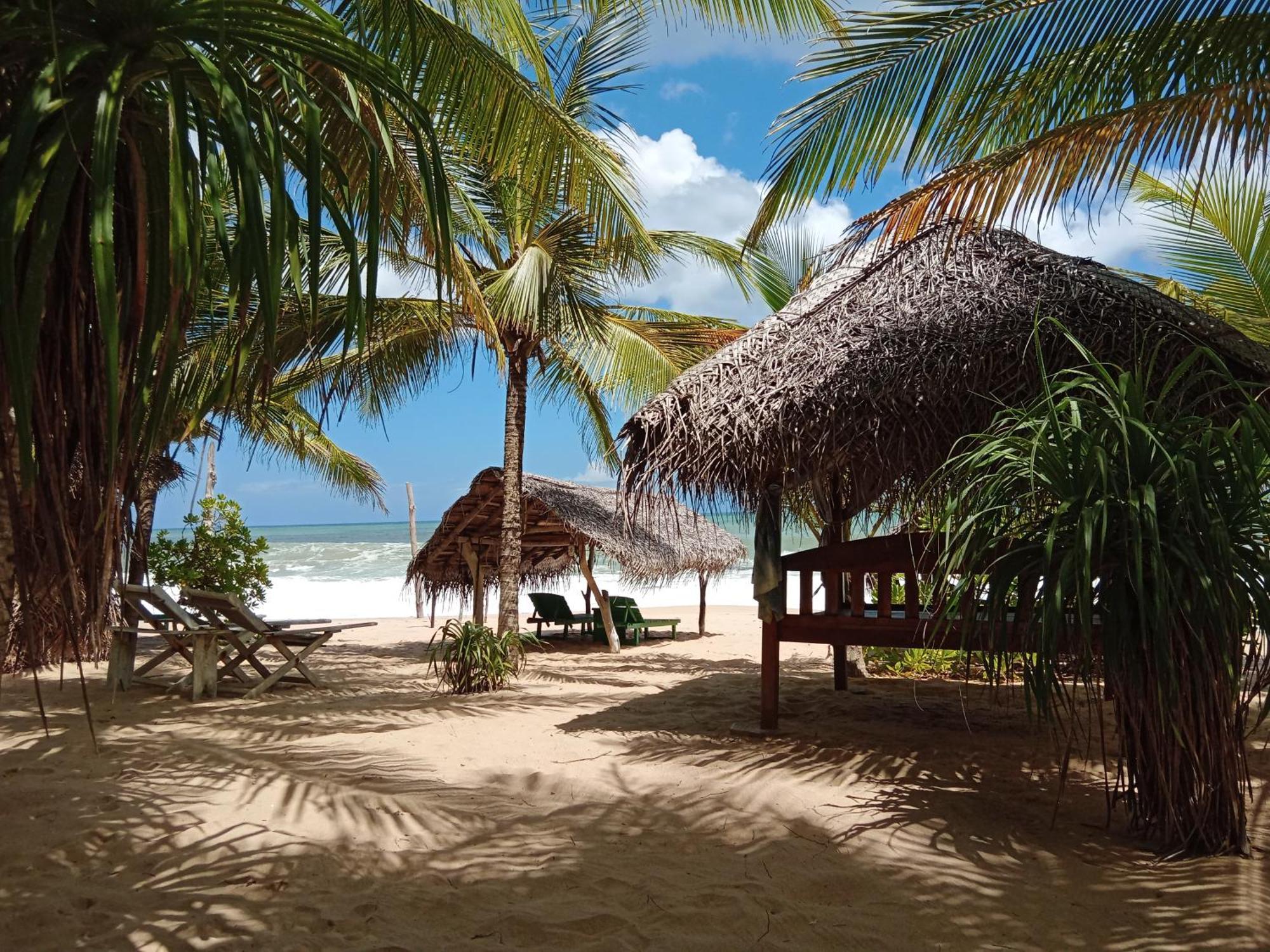 Ibisbird Beach Bungalows, Sport, Spa And Restaurant 탕갈레 외부 사진
