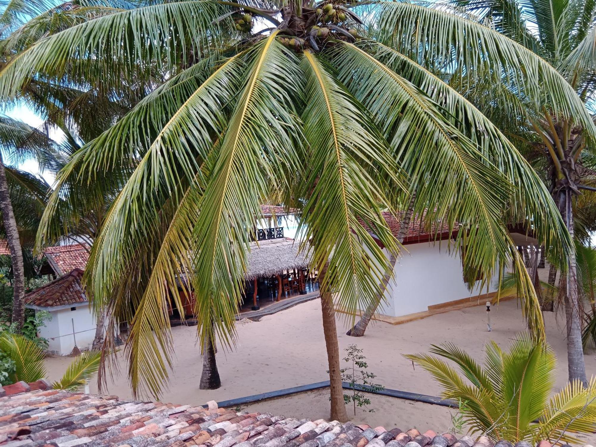 Ibisbird Beach Bungalows, Sport, Spa And Restaurant 탕갈레 외부 사진